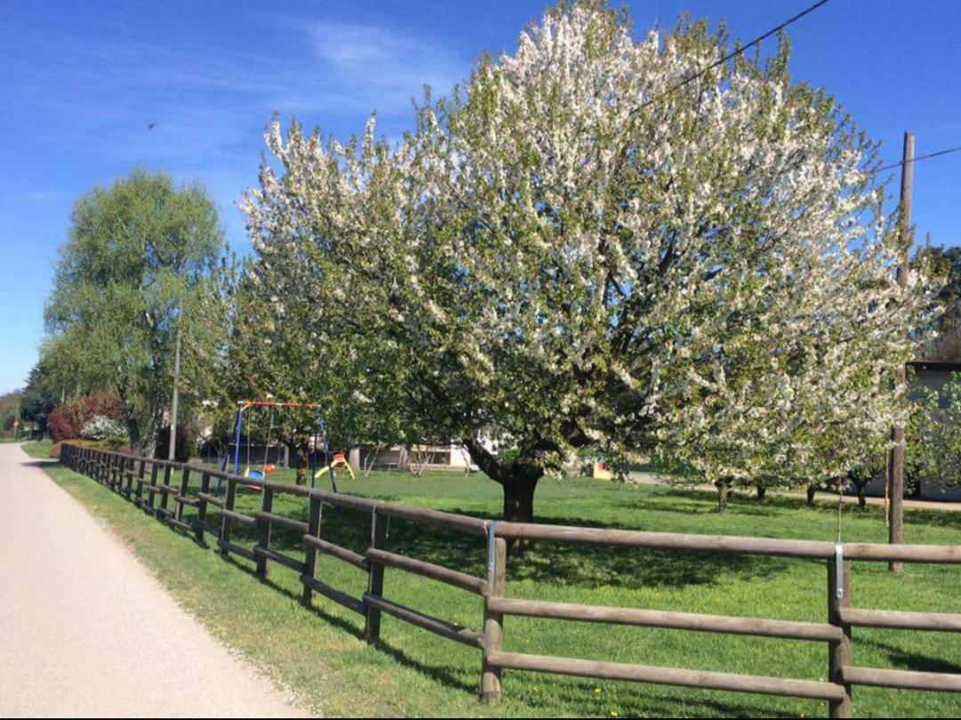 Azienda Agrituristica Scotti ソンマ・ロンバルド エクステリア 写真